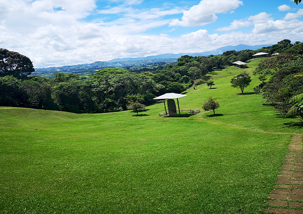 Parque arqueológico Alto de las Piedras